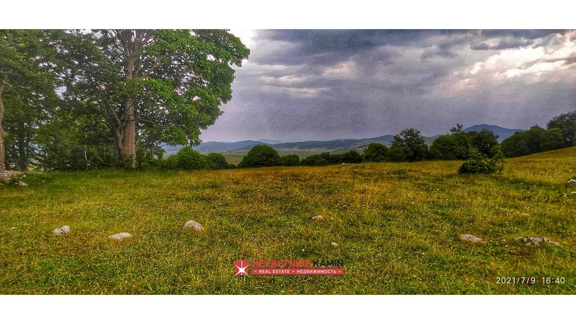 p9913 Plac na 500m od Savinog Kuka, Žabljak, Žabljak