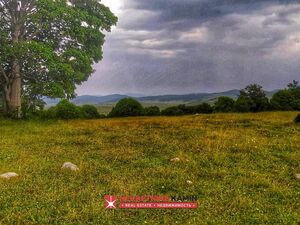 p9913 Plac na 500m od Savinog Kuka, Žabljak, Žabljak