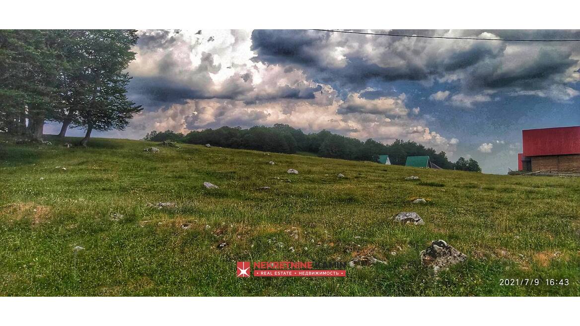 p9913 Plac na 500m od Savinog Kuka, Žabljak, Žabljak