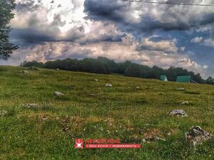 p9913 Plac na 500m od Savinog Kuka, Žabljak, Žabljak