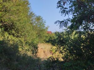 Vrcin, Beograd