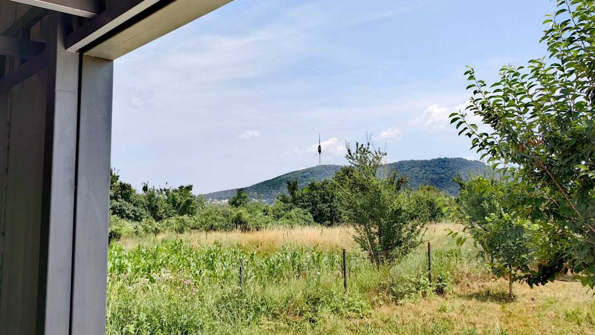 Pinosava, Beograd