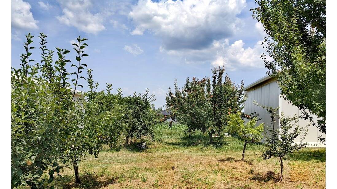 Pinosava, Beograd