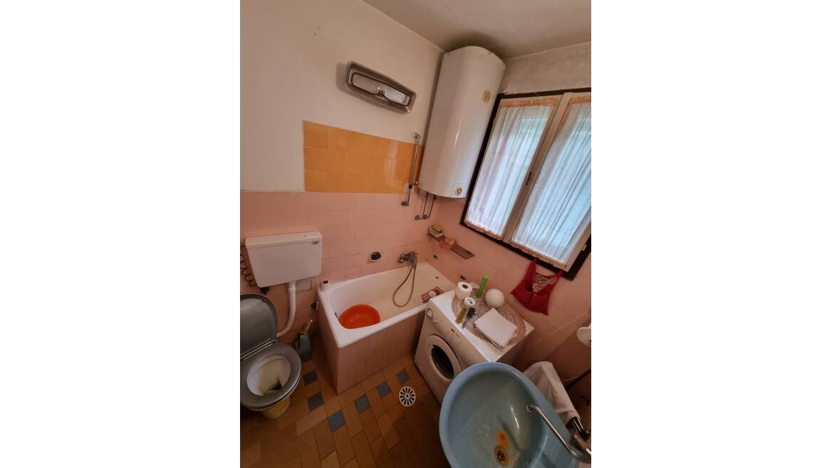 Djordja Cutukovica, Beograd