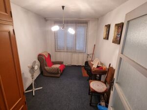 Djordja Cutukovica, Beograd