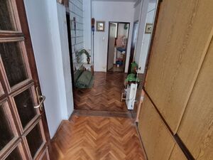 Djordja Cutukovica, Beograd