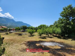 p1013 Urbanizovan plac u mjestu Lješevići, Grbalj, Kotor