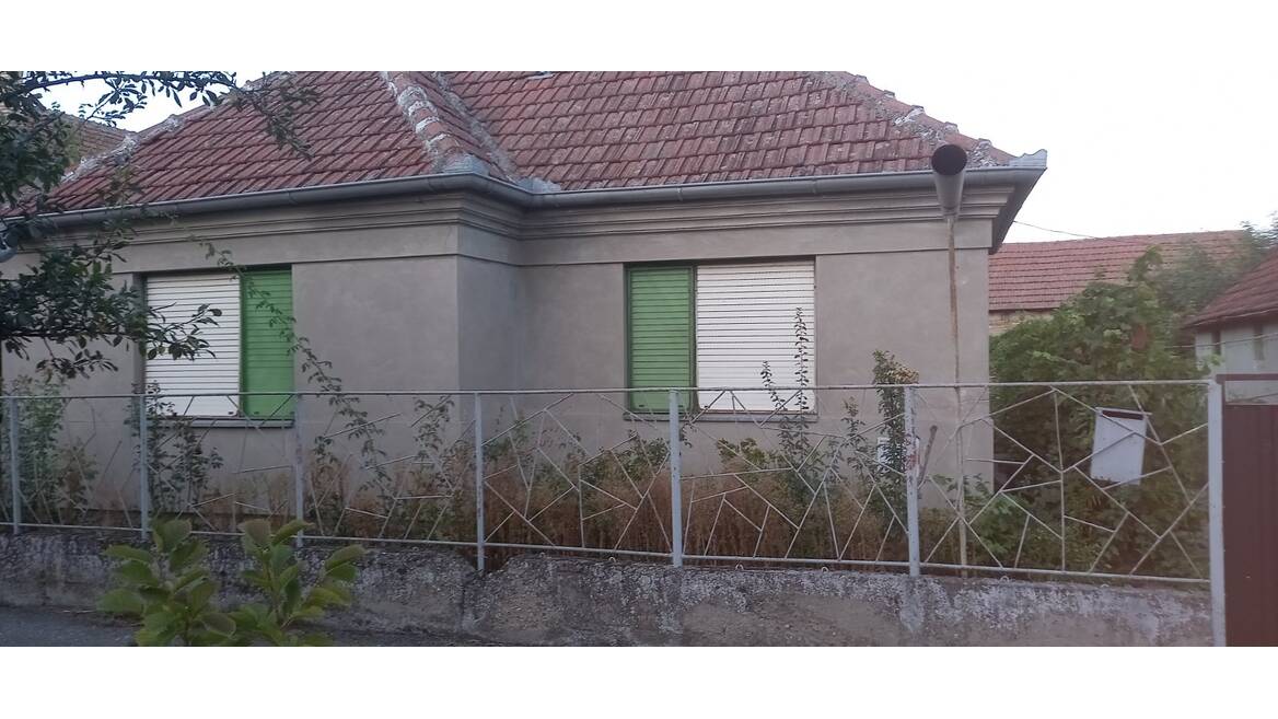 Perlez, Zrenjanin