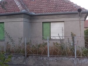 Perlez, Zrenjanin