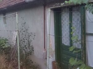Perlez, Zrenjanin
