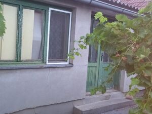 Perlez, Zrenjanin