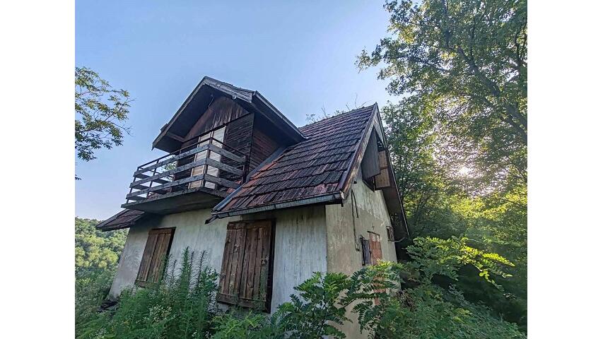 Brestovik, Beograd
