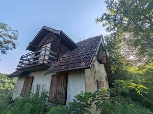 Brestovik, Beograd