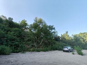 Brestovik, Beograd