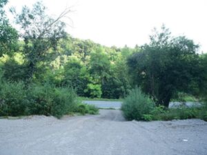 Brestovik, Beograd