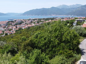 Cesljar, Tivat