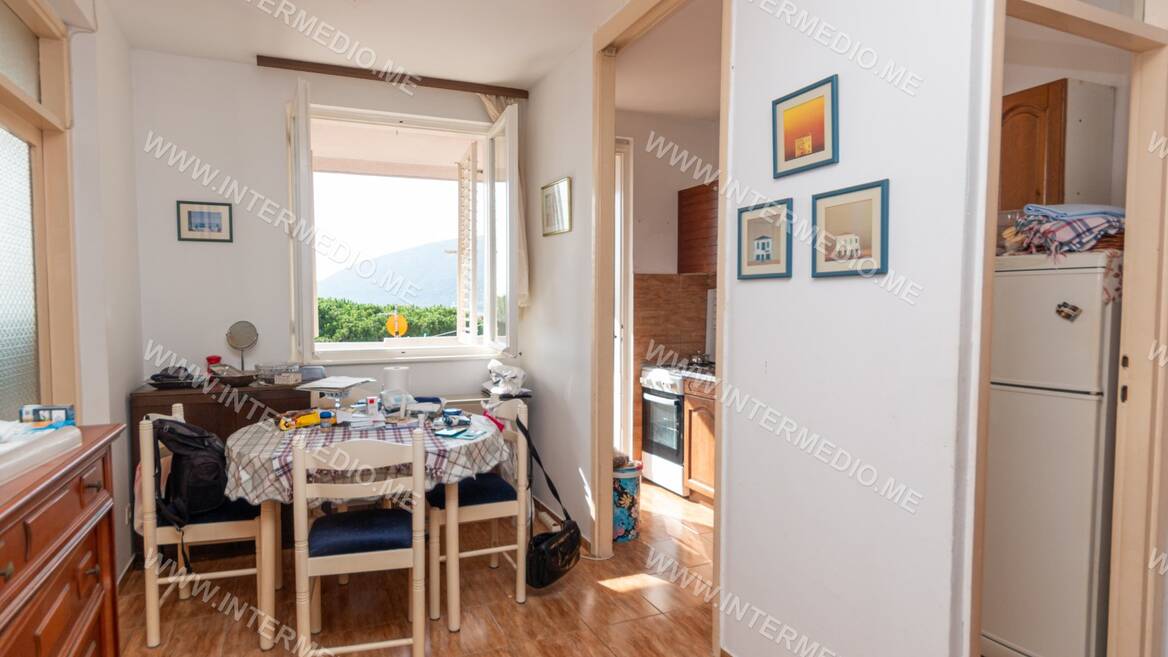 Mica Vavica, Herceg Novi