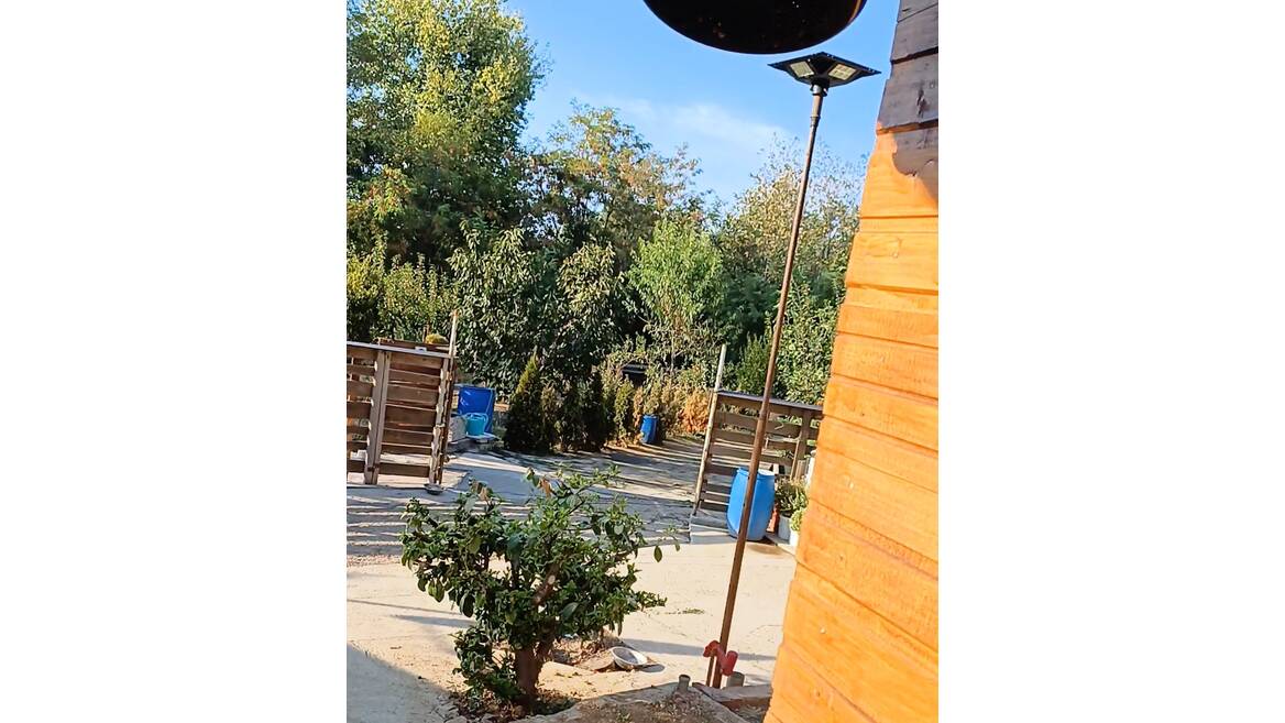 Ribnjak, Novi Sad