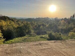 Stara Lipovica, Beograd