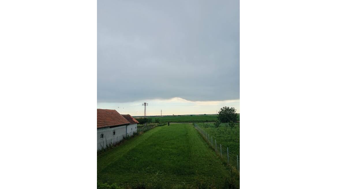 Suljam, Sremska Mitrovica