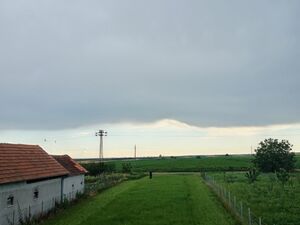 Suljam, Sremska Mitrovica