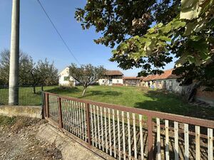 Grncara, Loznica