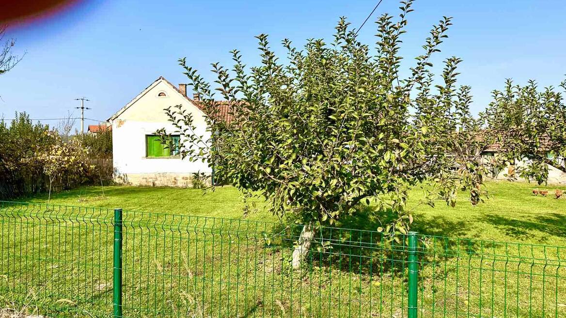 Grncara, Loznica