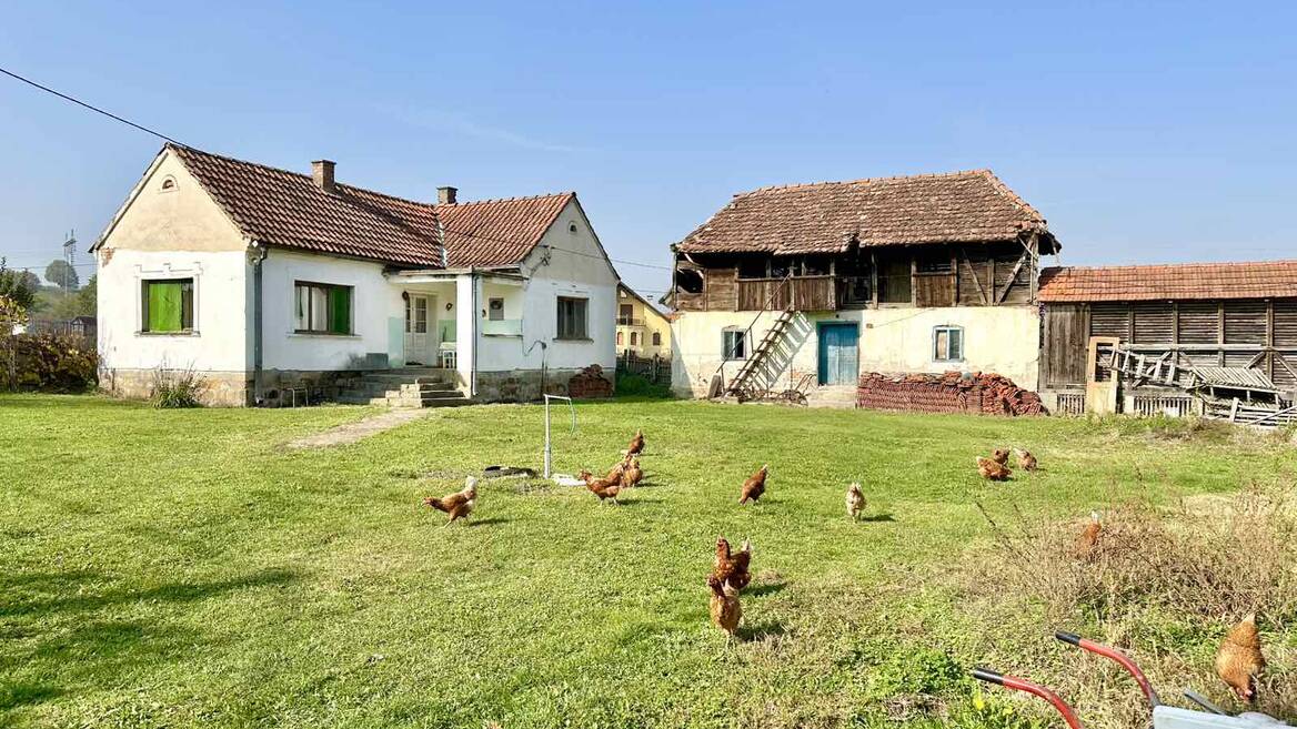 Grncara, Loznica