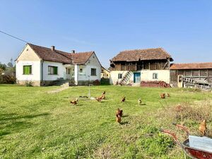 Grncara, Loznica