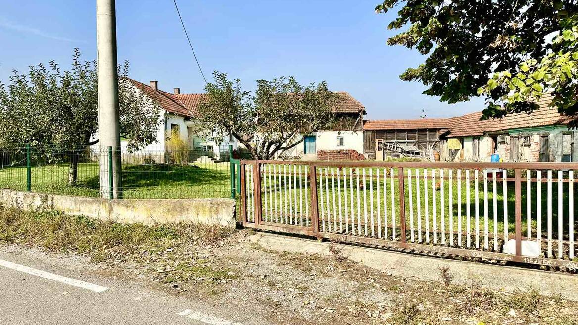 Grncara, Loznica