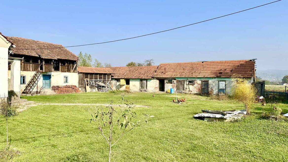Grncara, Loznica