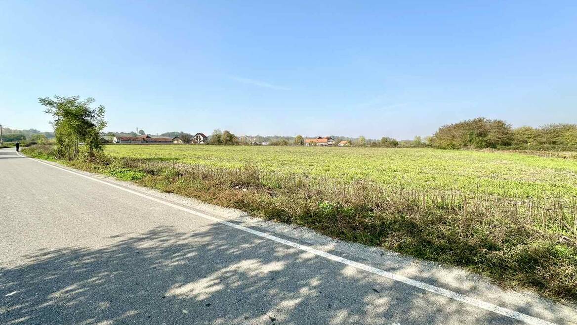 Grncara, Loznica