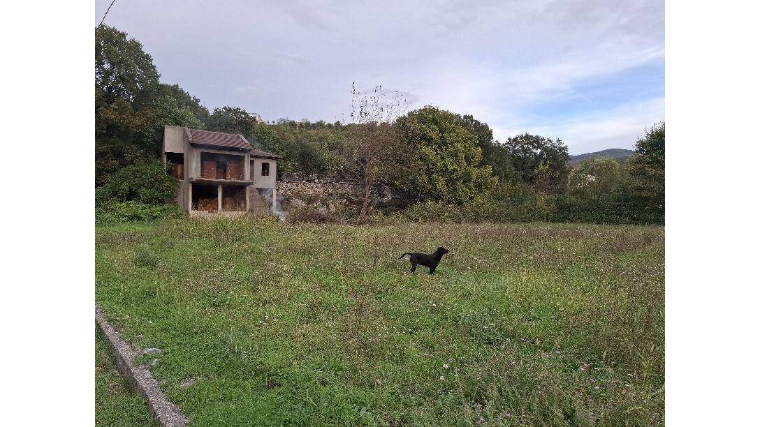 Doljani, Podgorica