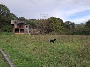 Doljani, Podgorica