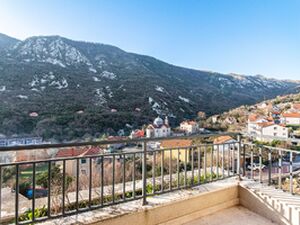 Lavender Bay, Kotor