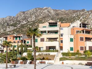 Lavender Bay, Kotor