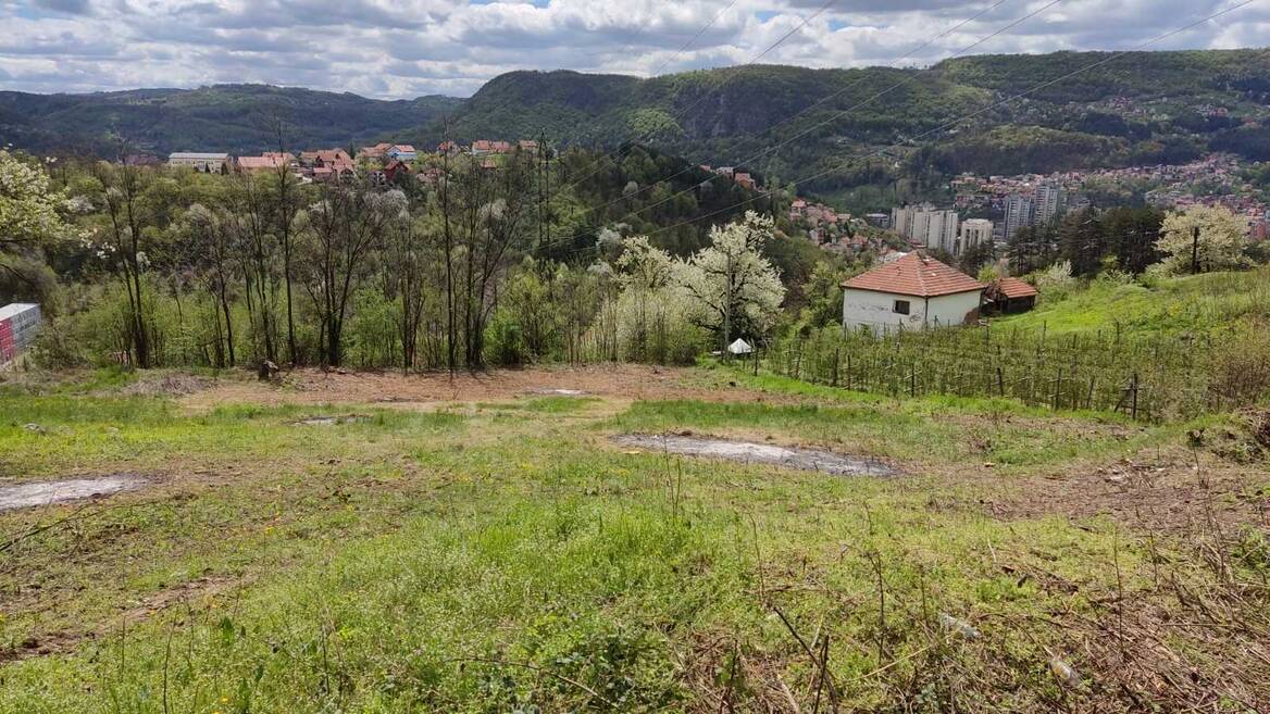 Zupana Brajana, Užice