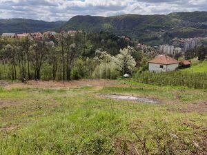 Zupana Brajana, Užice