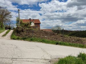 Zupana Brajana, Užice