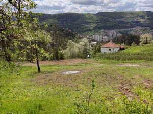 Zupana Brajana, Užice