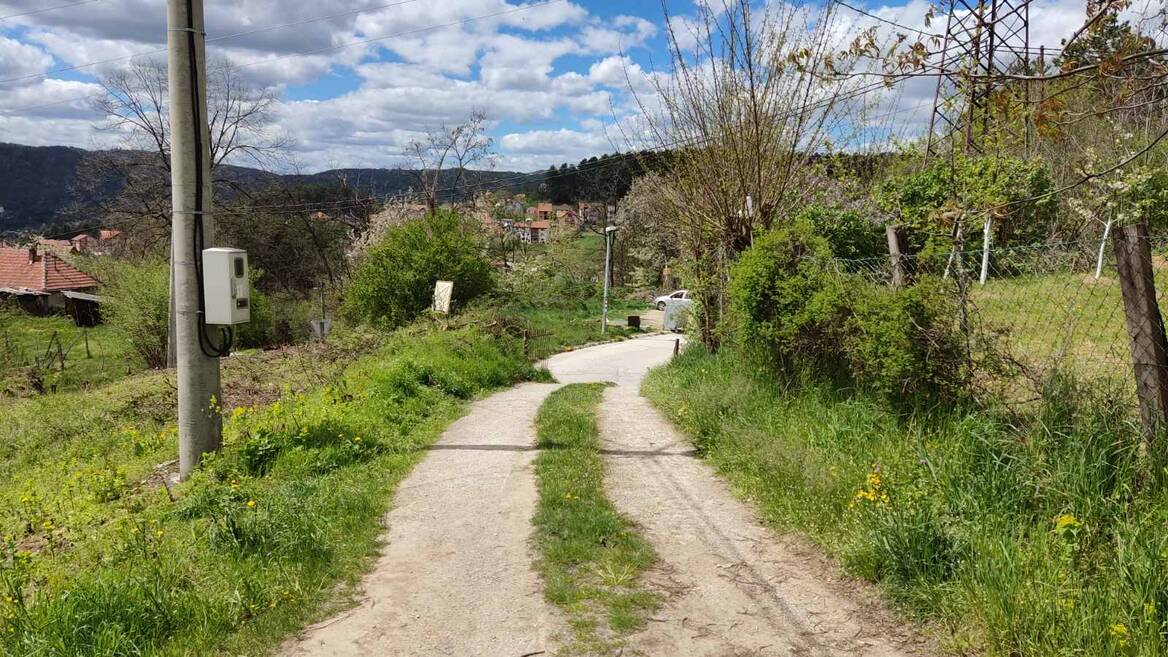 Zupana Brajana, Užice