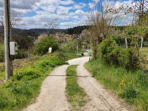 Zupana Brajana, Užice