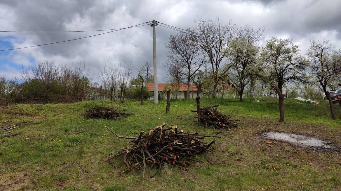 Zupana Brajana, Užice