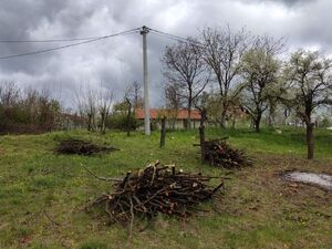 Zupana Brajana, Užice