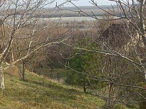 Belegis, Stara Pazova