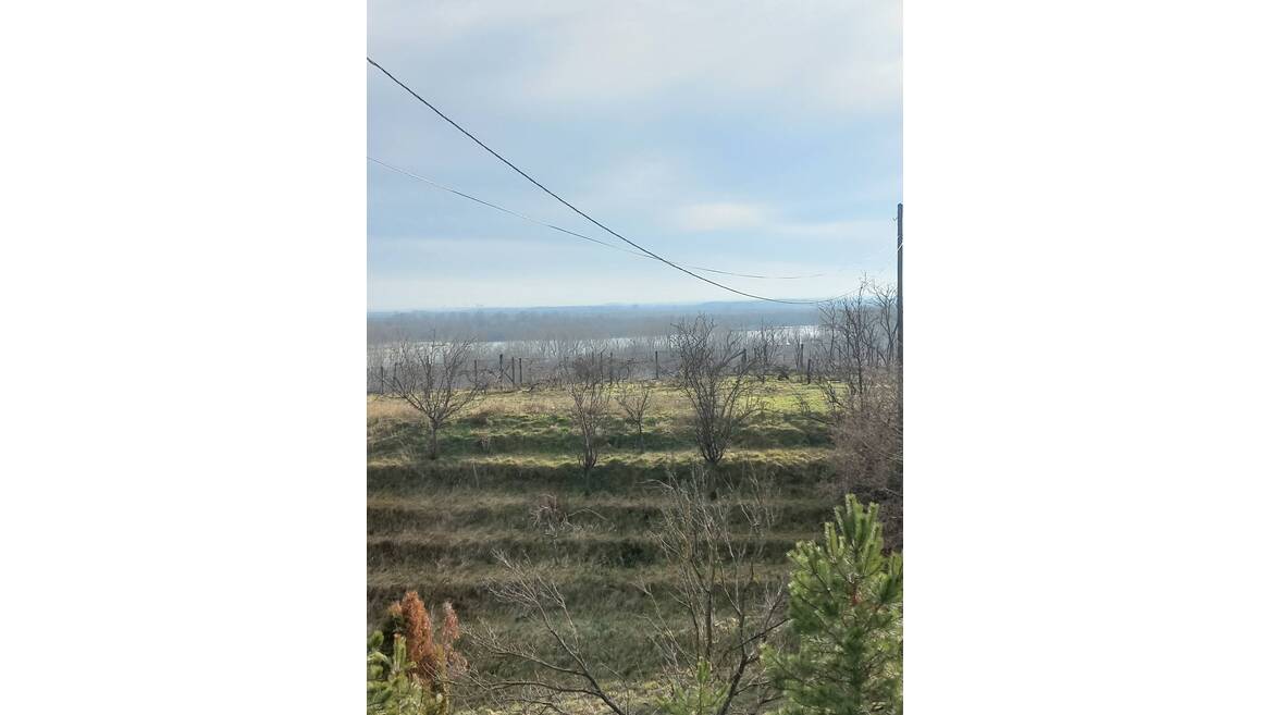 Belegis, Stara Pazova