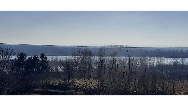 Belegis, Stara Pazova