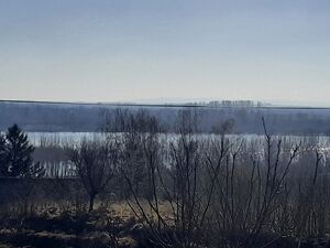 Belegis, Stara Pazova