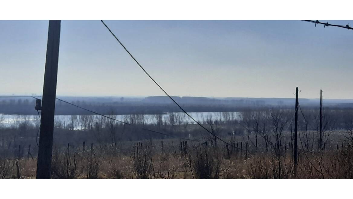 Belegis, Stara Pazova