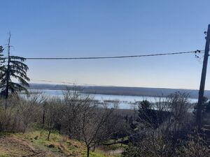 Belegis, Stara Pazova